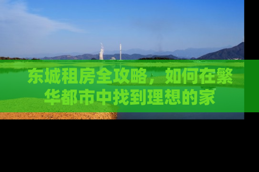 东城租房全攻略，如何在繁华都市中找到理想的家