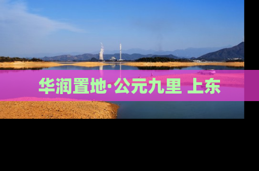华润置地·公元九里 上东