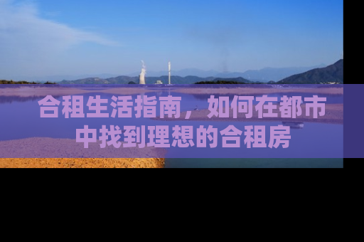 合租生活指南，如何在都市中找到理想的合租房
