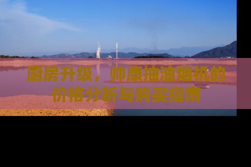 厨房升级，帅康抽油烟机的价格分析与购买指南