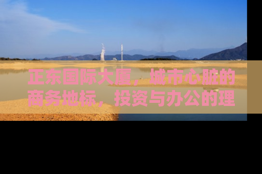 正东国际大厦，城市心脏的商务地标，投资与办公的理想选择