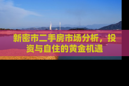 新密市二手房市场分析，投资与自住的黄金机遇