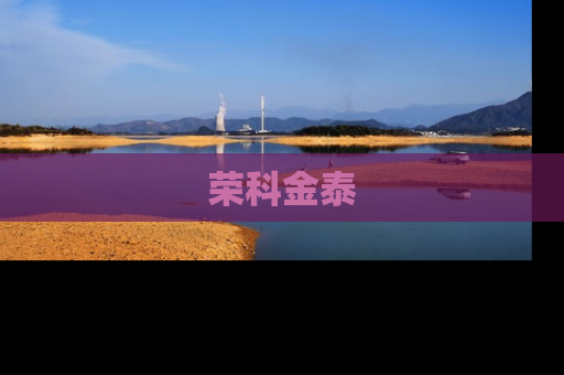 荣科金泰