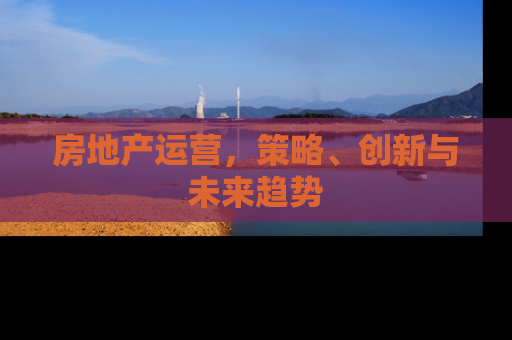 房地产运营，策略、创新与未来趋势