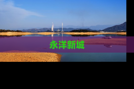 永洋新城
