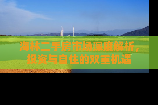 海林二手房市场深度解析，投资与自住的双重机遇