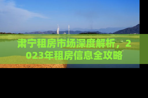 肃宁租房市场深度解析，2023年租房信息全攻略