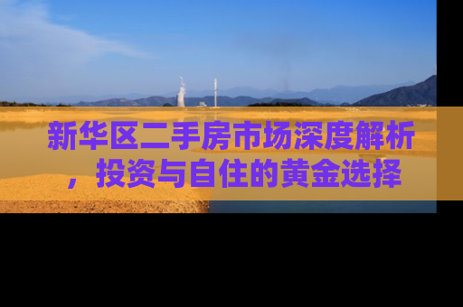 新华区二手房市场深度解析，投资与自住的黄金选择