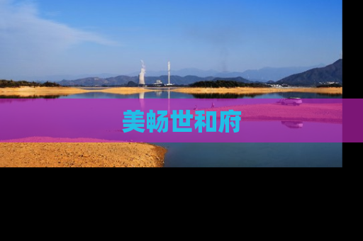 美畅世和府
