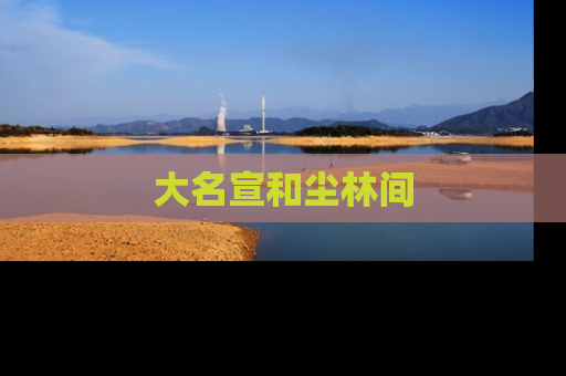 大名宣和尘林间
