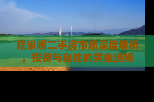 陆家嘴二手房市场深度解析，投资与自住的黄金选择