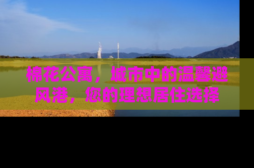 棉花公寓，城市中的温馨避风港，您的理想居住选择