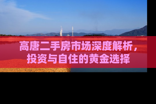 高唐二手房市场深度解析，投资与自住的黄金选择