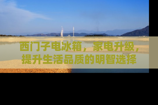 西门子电冰箱，家电升级，提升生活品质的明智选择