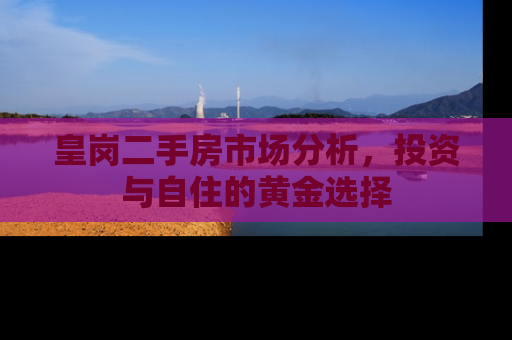 皇岗二手房市场分析，投资与自住的黄金选择