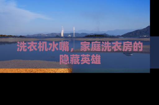 洗衣机水嘴，家庭洗衣房的隐藏英雄