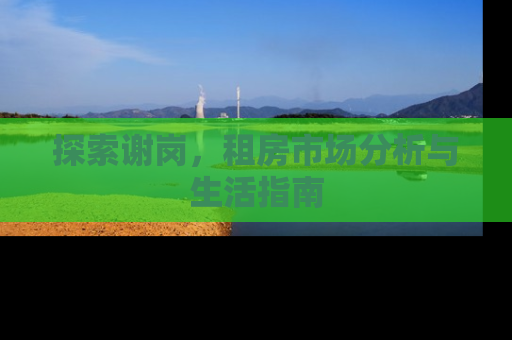 探索谢岗，租房市场分析与生活指南