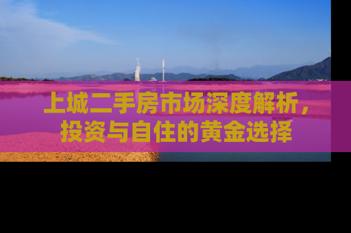 上城二手房市场深度解析，投资与自住的黄金选择