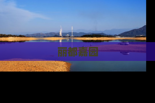丽都嘉园