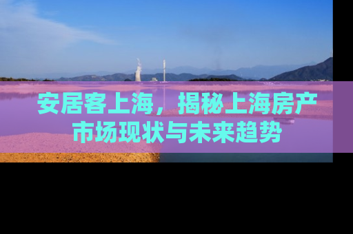 安居客上海，揭秘上海房产市场现状与未来趋势