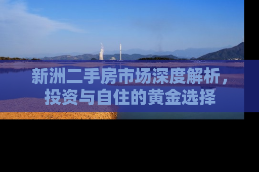 新洲二手房市场深度解析，投资与自住的黄金选择
