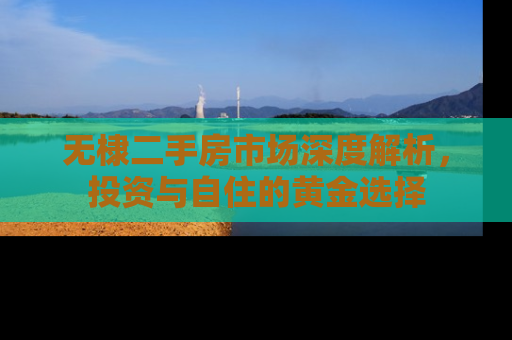 无棣二手房市场深度解析，投资与自住的黄金选择