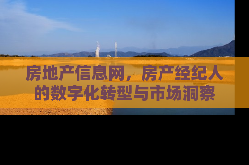 房地产信息网，房产经纪人的数字化转型与市场洞察