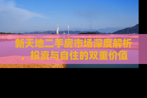 新天地二手房市场深度解析，投资与自住的双重价值