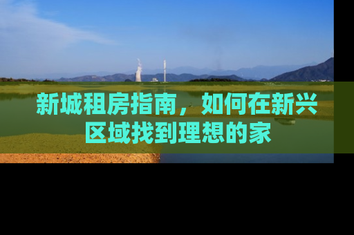 新城租房指南，如何在新兴区域找到理想的家