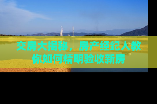 交房大揭秘，房产经纪人教你如何精明验收新房