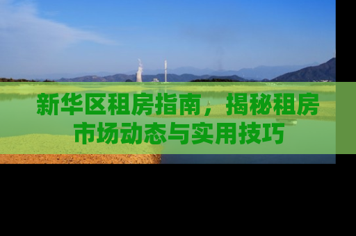 新华区租房指南，揭秘租房市场动态与实用技巧