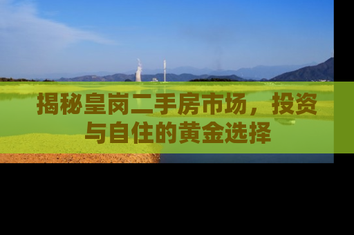 揭秘皇岗二手房市场，投资与自住的黄金选择