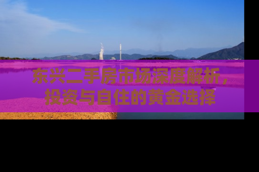 东兴二手房市场深度解析，投资与自住的黄金选择