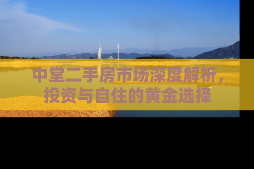 中堂二手房市场深度解析，投资与自住的黄金选择