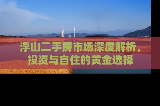 浮山二手房市场深度解析，投资与自住的黄金选择