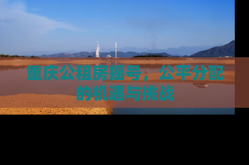 重庆公租房摇号，公平分配的机遇与挑战