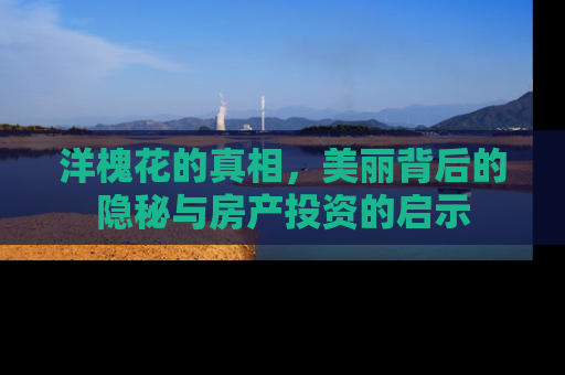 洋槐花的真相，美丽背后的隐秘与房产投资的启示