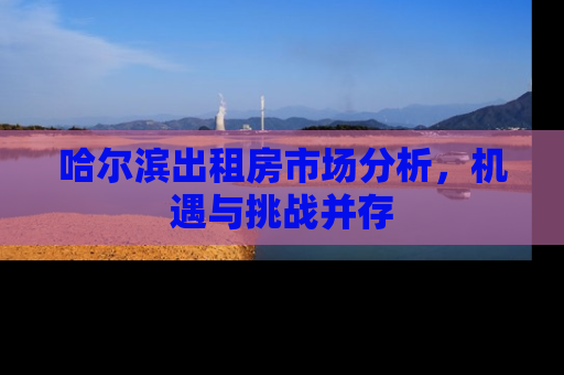 哈尔滨出租房市场分析，机遇与挑战并存