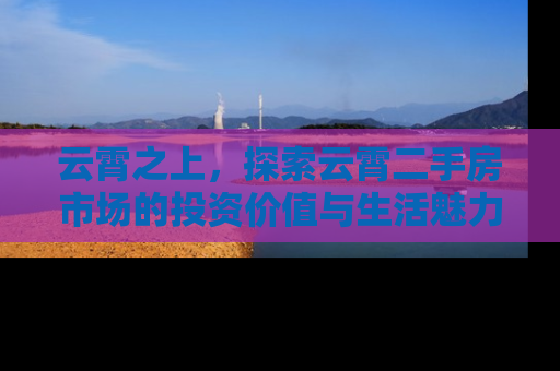 云霄之上，探索云霄二手房市场的投资价值与生活魅力