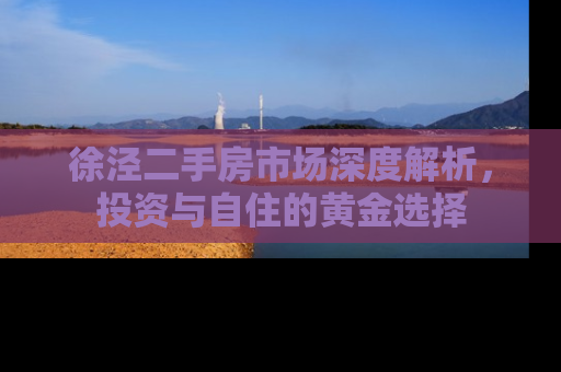 徐泾二手房市场深度解析，投资与自住的黄金选择