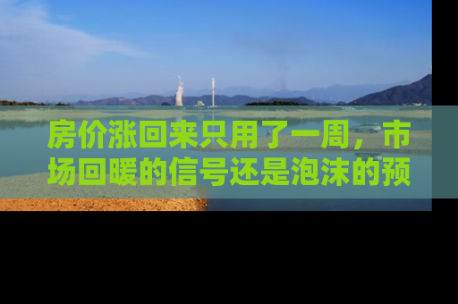房价涨回来只用了一周，市场回暖的信号还是泡沫的预兆？
