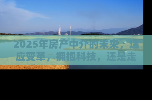 2025年房产中介的未来，适应变革，拥抱科技，还是走向衰落？