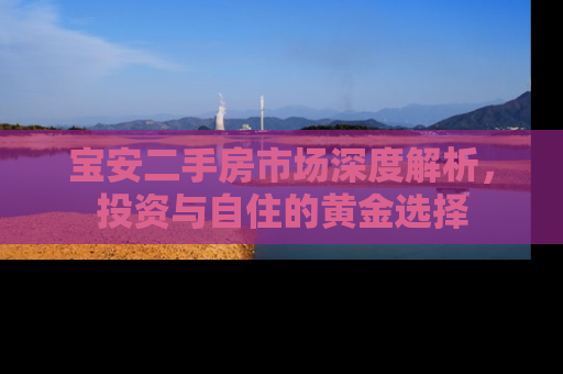宝安二手房市场深度解析，投资与自住的黄金选择