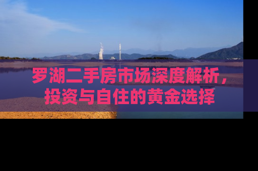 罗湖二手房市场深度解析，投资与自住的黄金选择