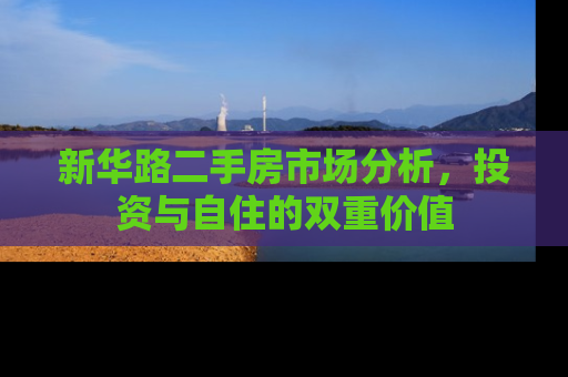 新华路二手房市场分析，投资与自住的双重价值