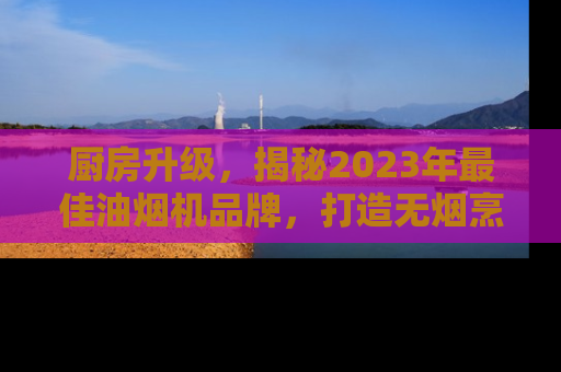 厨房升级，揭秘2023年最佳油烟机品牌，打造无烟烹饪新体验