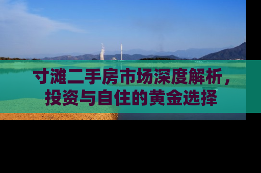 寸滩二手房市场深度解析，投资与自住的黄金选择