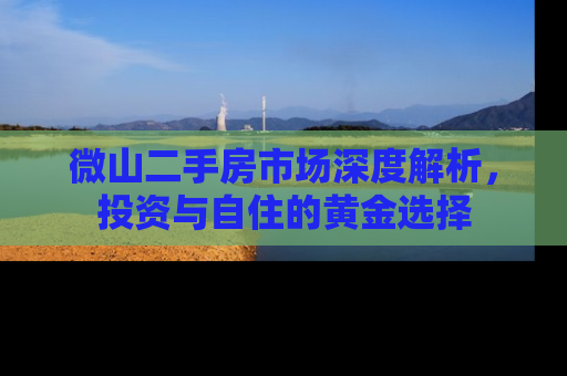 微山二手房市场深度解析，投资与自住的黄金选择