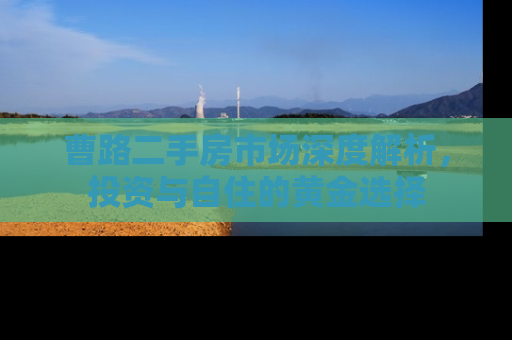 曹路二手房市场深度解析，投资与自住的黄金选择