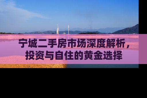 宁城二手房市场深度解析，投资与自住的黄金选择